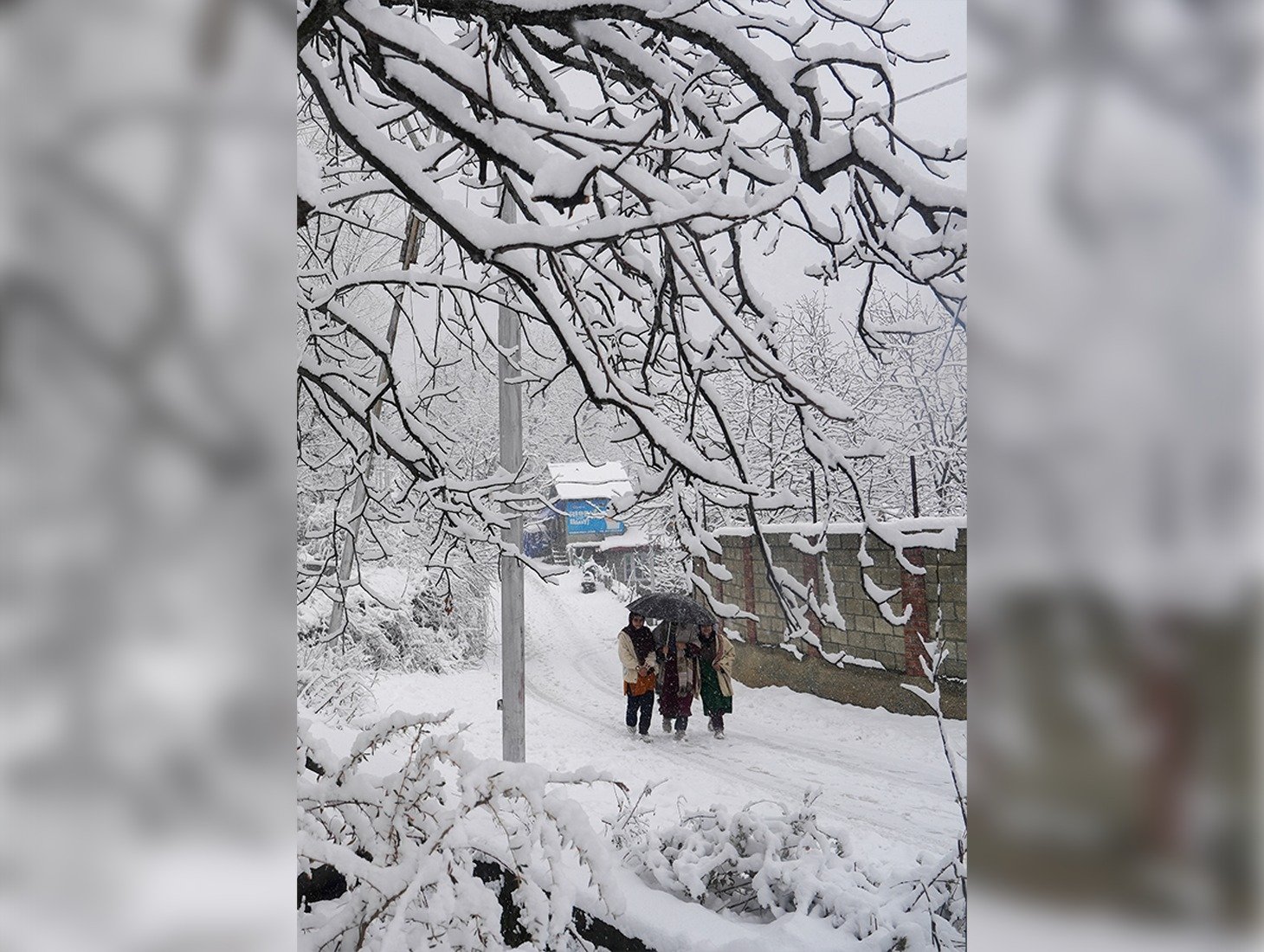 Jammu Snowfall