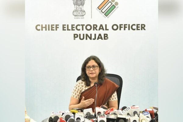 CEO Chief Electoral Officer