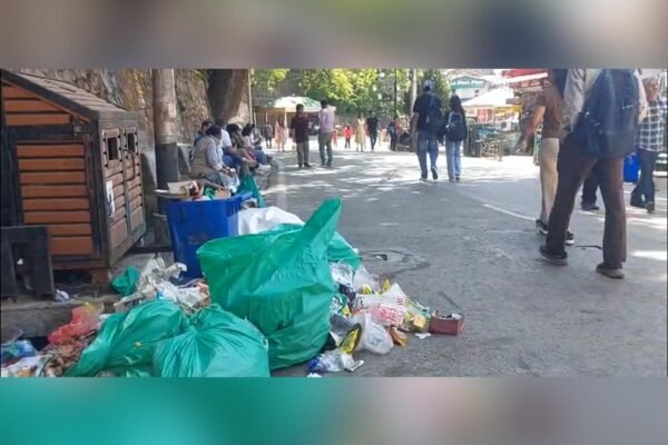 Shimla waste