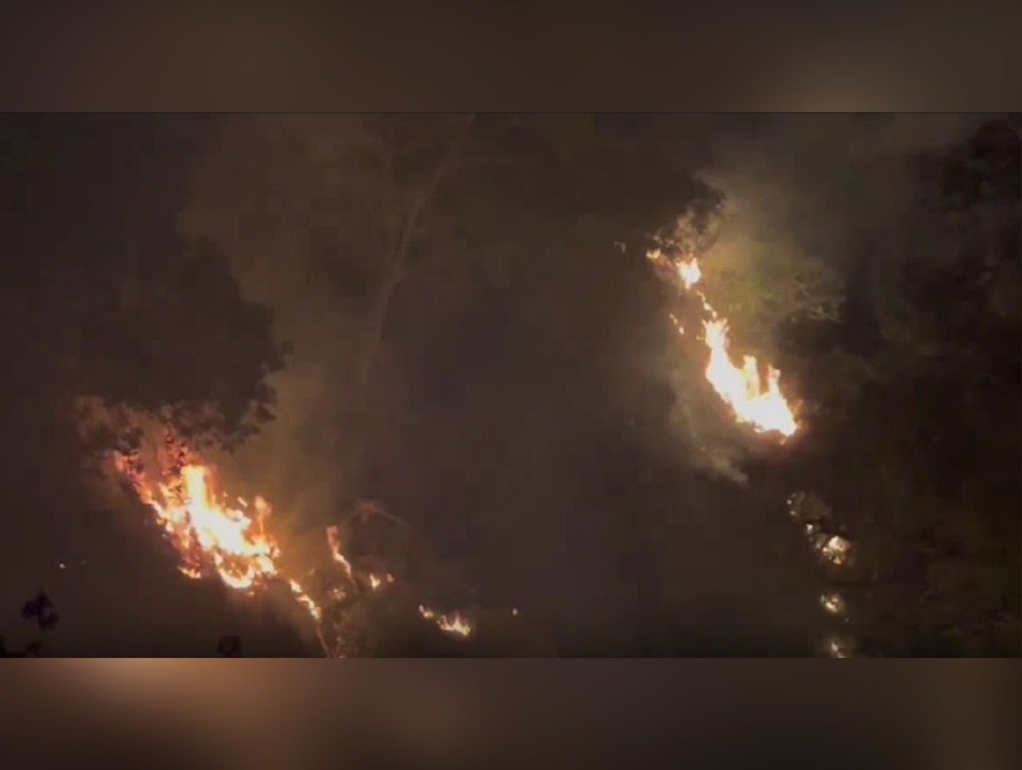 Dharamshala Forest Fire Crisis: Two Fresh Incidents Controlled After Four-Hour Effort