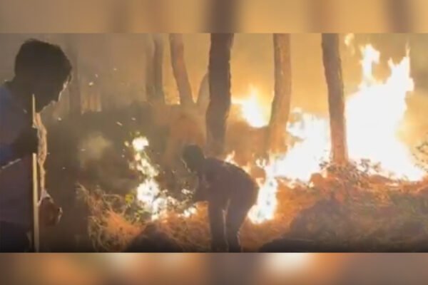 Dharamshala Forest Division Battles Spike in Fire Incidents Amid Soaring Temperatures